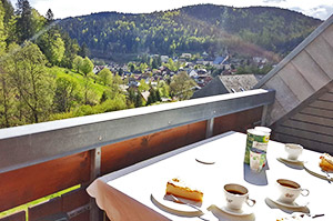 Aussicht vom Balkon in Richtung Todtmoos