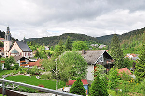 Aussicht vom Balkon in Richtung Todtmoos