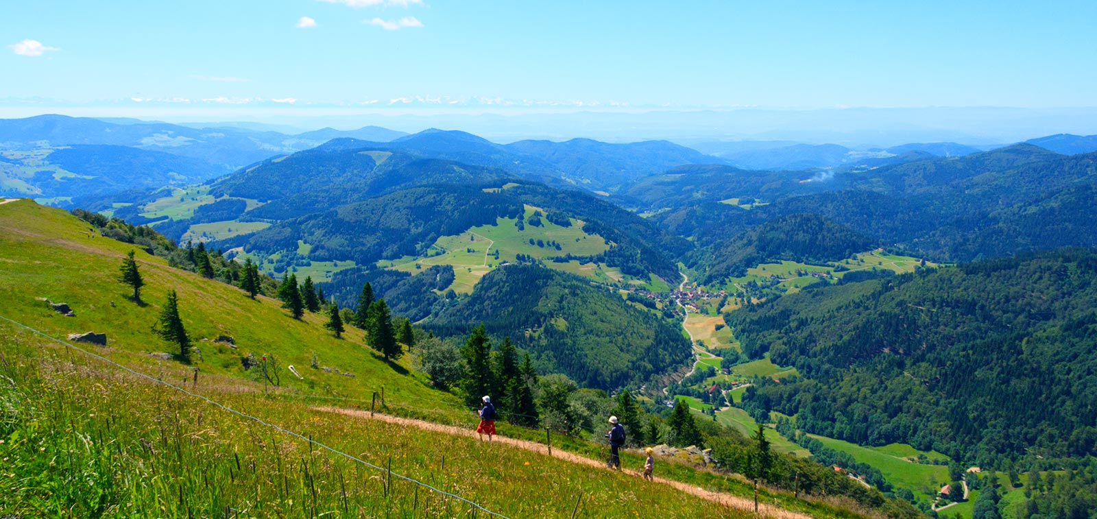 Traumhafte Aussichten